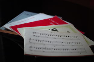 中国九游体育-中小学体育课程内容优化实践，中小学体育课程一体化研究